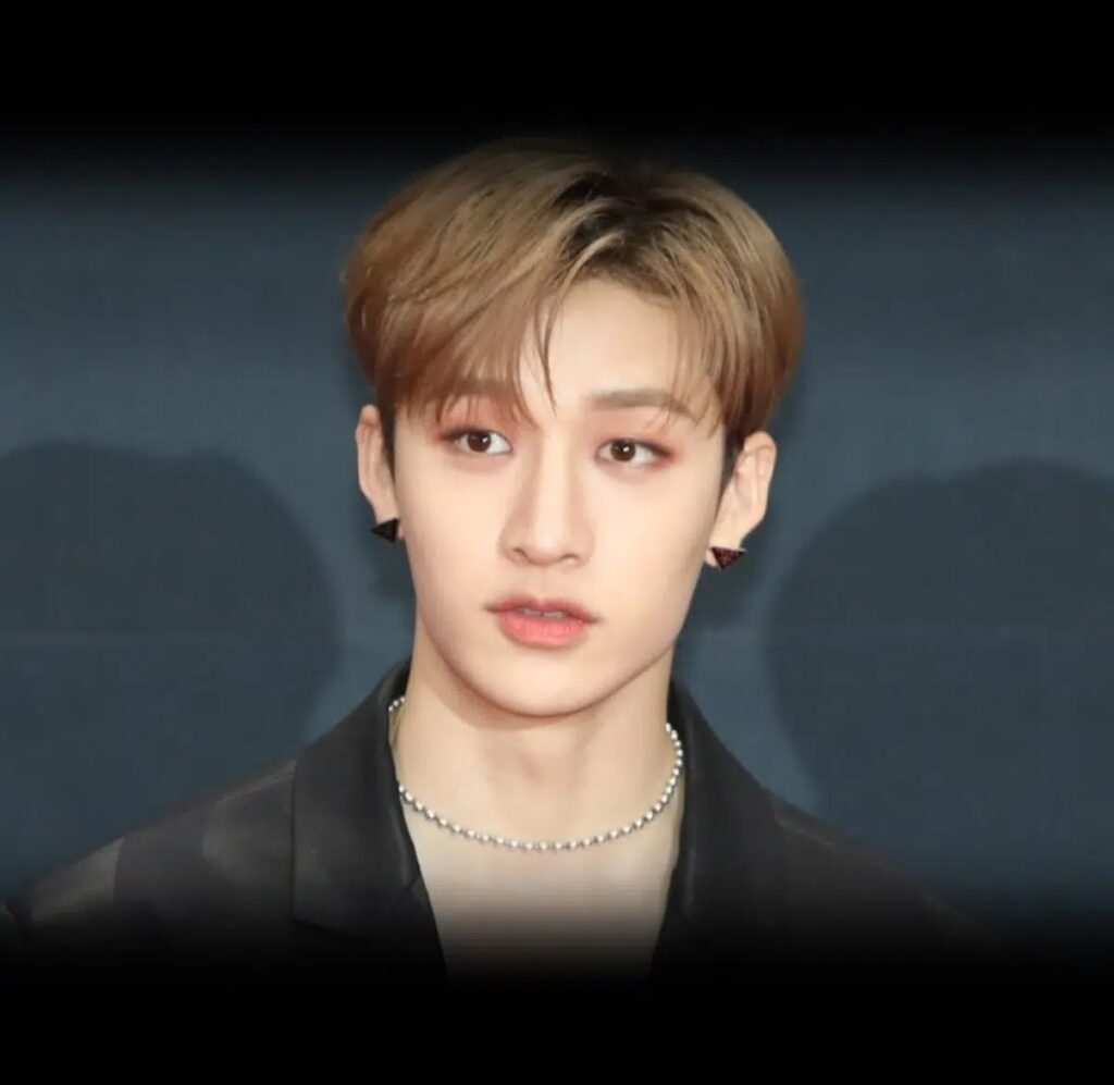 Bang Chan Age, Biography, Net Worth, Girlfriend, Family, Career, and More bang chan age